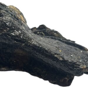 baby mammoth 15 - Sians Emporium baby mammoth 15