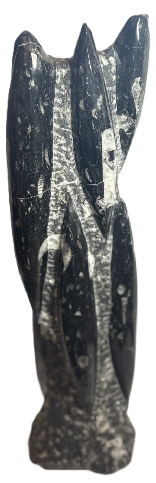 orthoceras statue 41 - Sians Emporium orthoceras statue 41