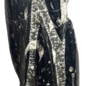 orthoceras statue 45 - Sians Emporium orthoceras statue 45