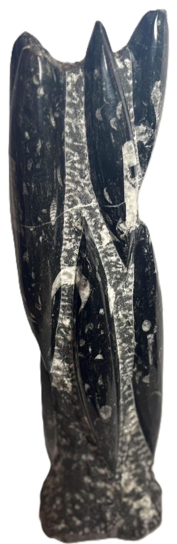 orthoceras statue 45 - Sians Emporium orthoceras statue 45