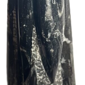 orthoceras statue 52 - Sians Emporium orthoceras statue 52