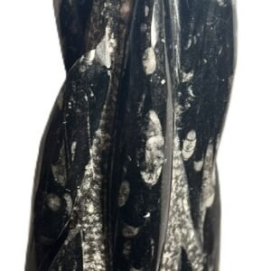 orthoceras statue 61 - Sians Emporium orthoceras statue 61