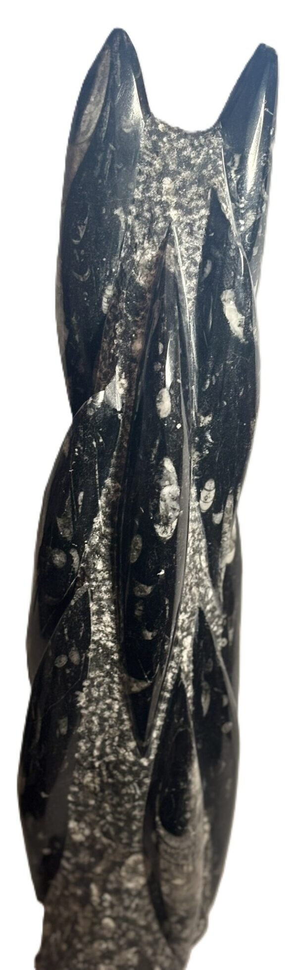 orthoceras statue 61 - Sians Emporium orthoceras statue 61