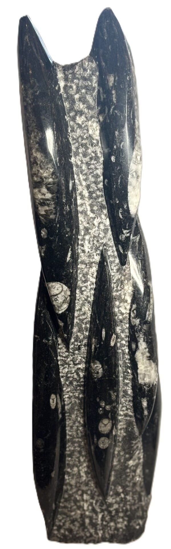 orthoceras statue 62 - Sians Emporium orthoceras statue 62