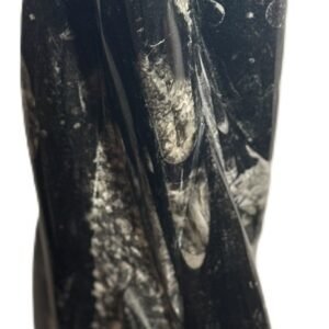 orthoceras statue 63