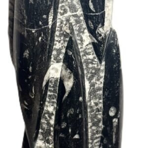 orthoceras statue 66 - Sians Emporium orthoceras statue 66