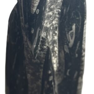 orthoceras statue c 2 - Sians Emporium orthoceras statue c 2