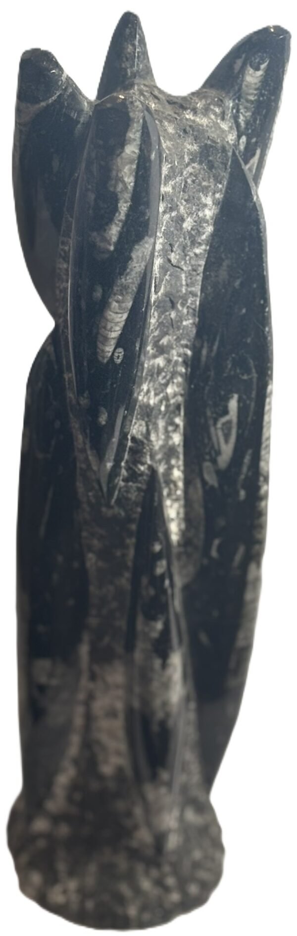 orthoceras statue c 2 - Sians Emporium orthoceras statue c 2