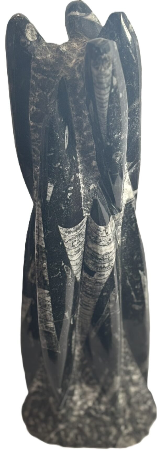 orthoceras statue c 3 - Sians Emporium orthoceras statue c 3