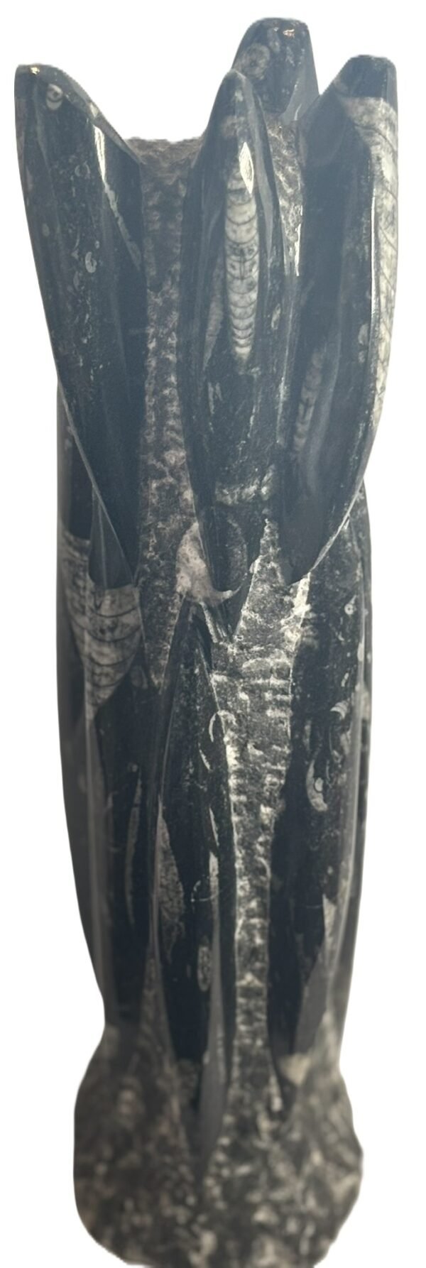 orthoceras statue c 4 - Sians Emporium orthoceras statue c 4