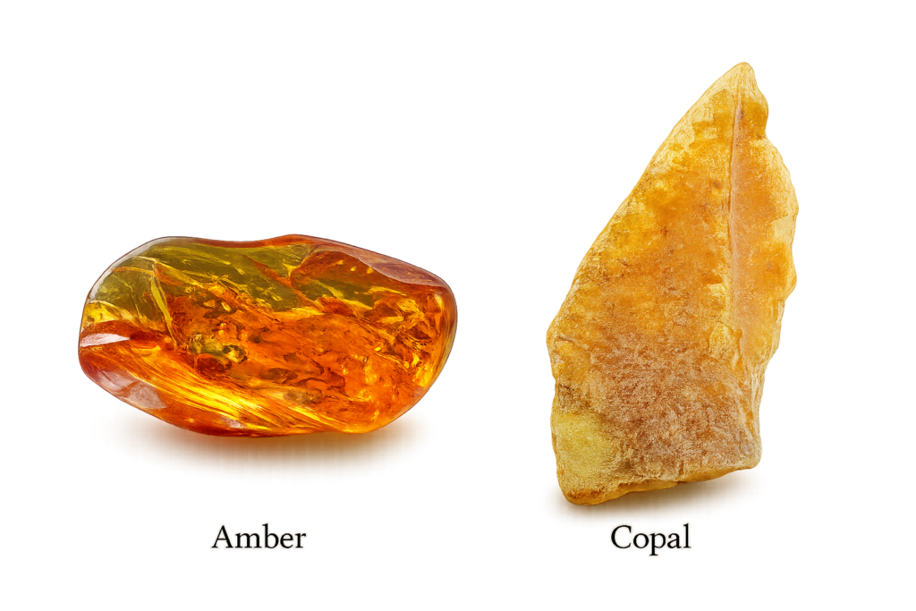Amber vs copal comparison