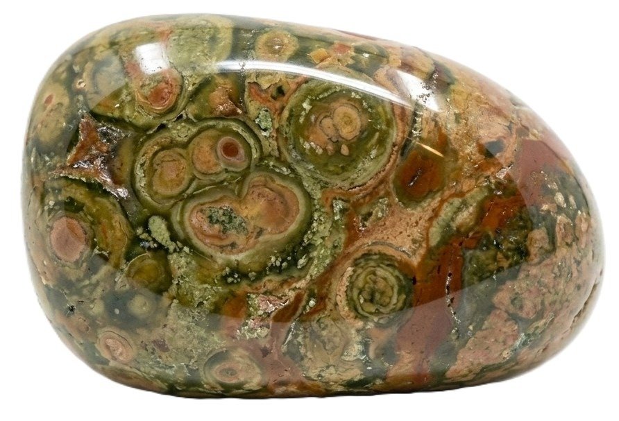 Polished rainforest jasper freeform pebble showing concentric green orbicular patterns earthy red brown patches and glossy finish on a white background